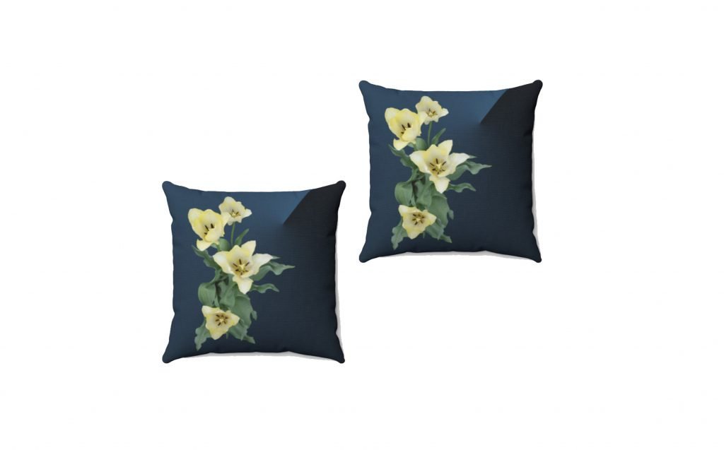 Description of the category Pillows.
Showing the two different fabrics available for this category: spun polyester and faux suedes.
Home Decor.